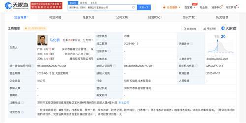 马化腾任腾讯科技宝安分公司负责人，聚焦信息系统集成服务发展