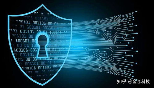 Web3.0、IPFS与Filecoin的协同演进 信息系统集成服务的视角